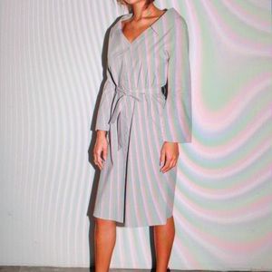 Button up shirt/dress